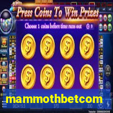 mammothbetcom