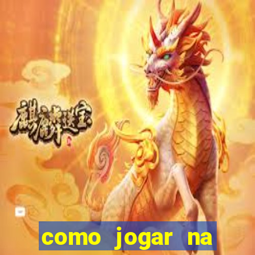 como jogar na teimosinha da lotofacil