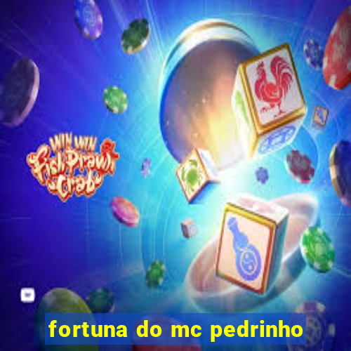 fortuna do mc pedrinho