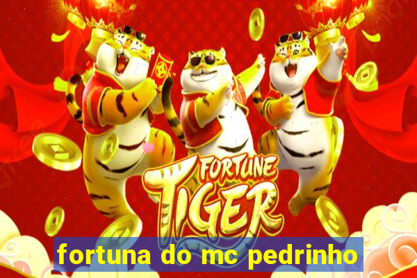 fortuna do mc pedrinho