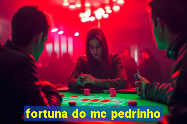 fortuna do mc pedrinho