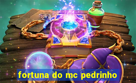 fortuna do mc pedrinho