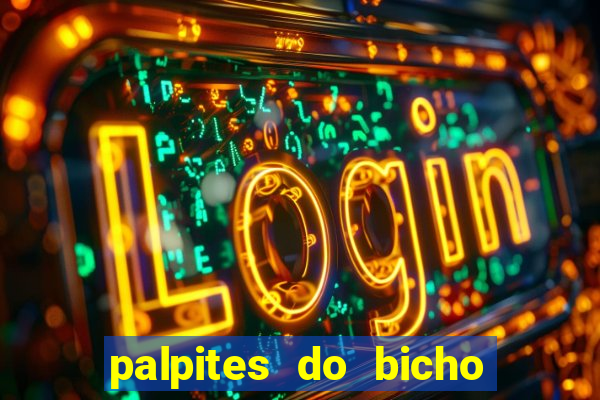 palpites do bicho no celular