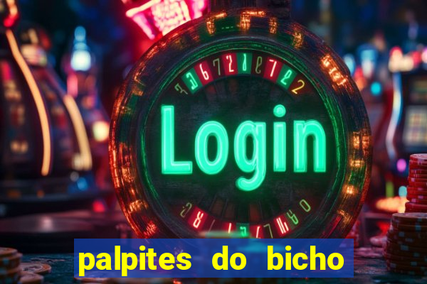 palpites do bicho no celular