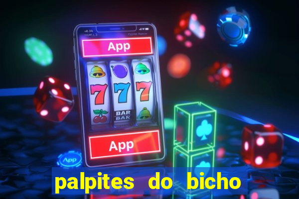 palpites do bicho no celular