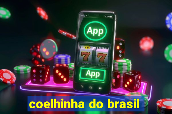 coelhinha do brasil