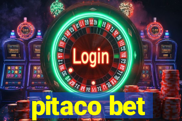 pitaco bet