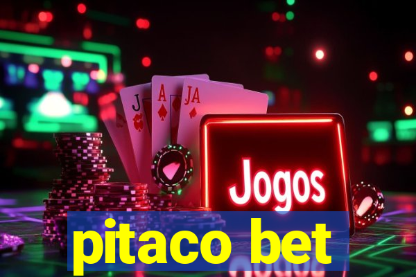 pitaco bet