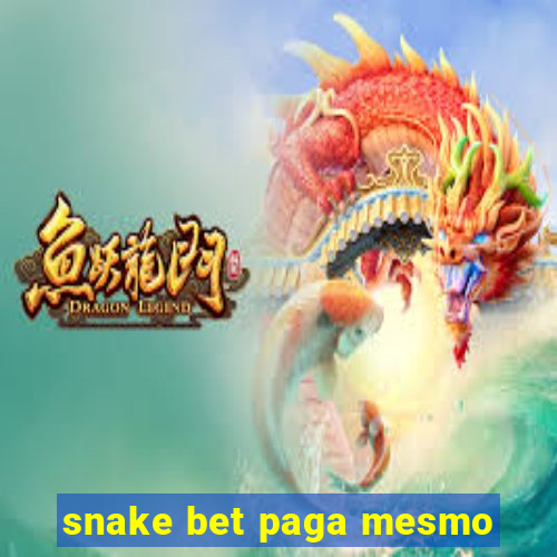 snake bet paga mesmo