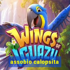 assobio calopsita