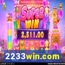 2233win.com