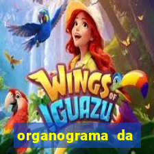 organograma da cacau show