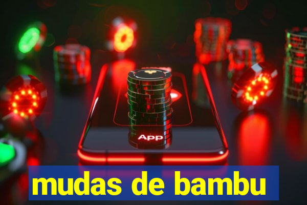 mudas de bambu