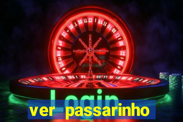 ver passarinho morto significado