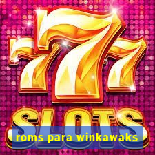 roms para winkawaks