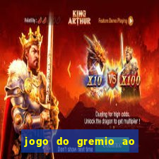 jogo do gremio ao vivo hd