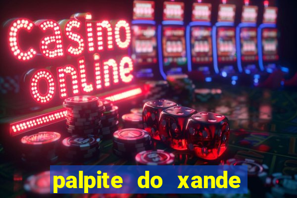 palpite do xande de hoje