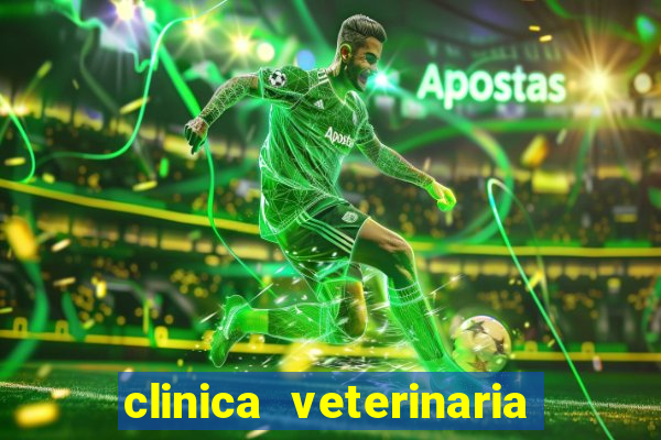 clinica veterinaria cuidar betim