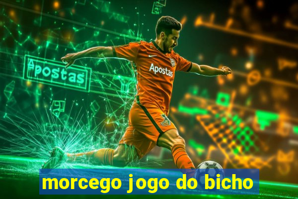 morcego jogo do bicho