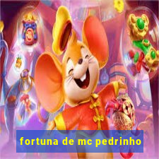 fortuna de mc pedrinho