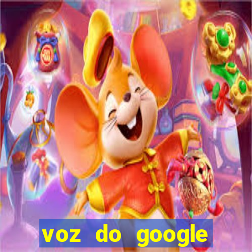 voz do google tradutor homem