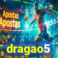 dragao5