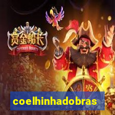 coelhinhadobrasil