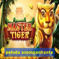 peluda acompanhante