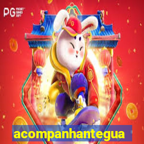 acompanhanteguanambi