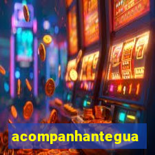 acompanhanteguanambi