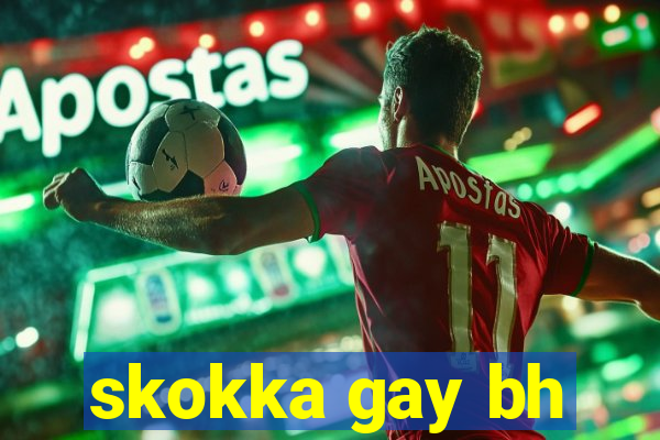 skokka gay bh