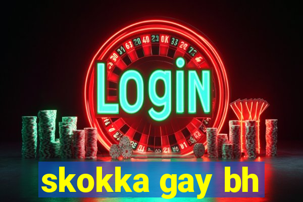 skokka gay bh