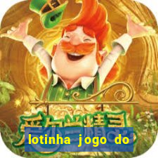 lotinha jogo do bicho como funciona