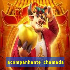 acompanhante chamada de video