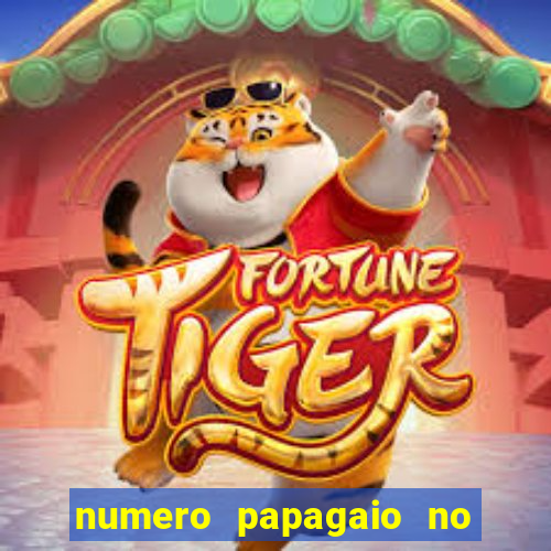 numero papagaio no jogo do bicho