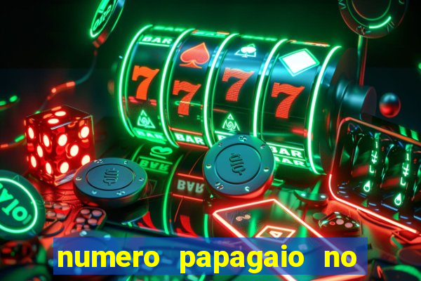 numero papagaio no jogo do bicho