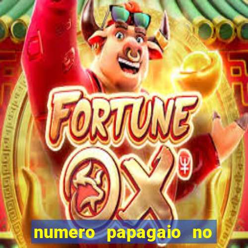 numero papagaio no jogo do bicho