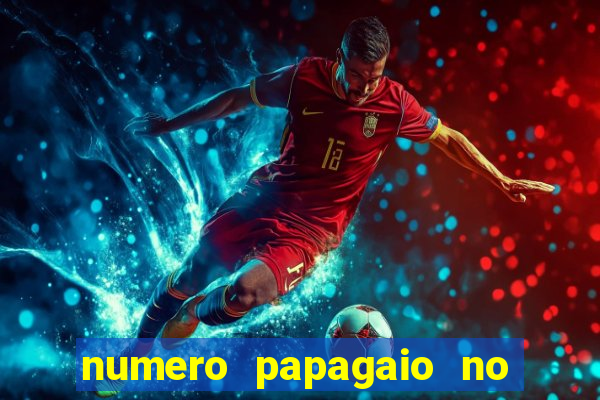 numero papagaio no jogo do bicho