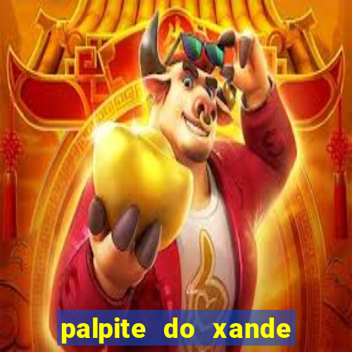 palpite do xande para hoje