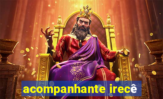 acompanhante irecê