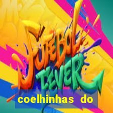 coelhinhas do brasil jp