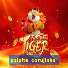 palpite corujinha de hoje