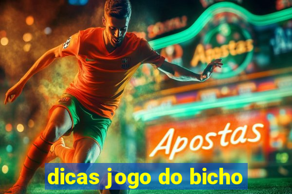 dicas jogo do bicho