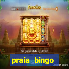 praia bingo dinheiro infinito 2022