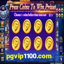 pgvip1100.com