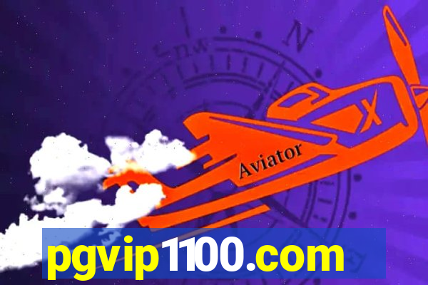 pgvip1100.com