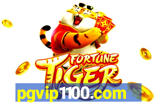 pgvip1100.com