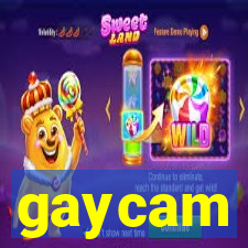 gaycam