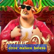 circo maluco beleza recife circo maluco