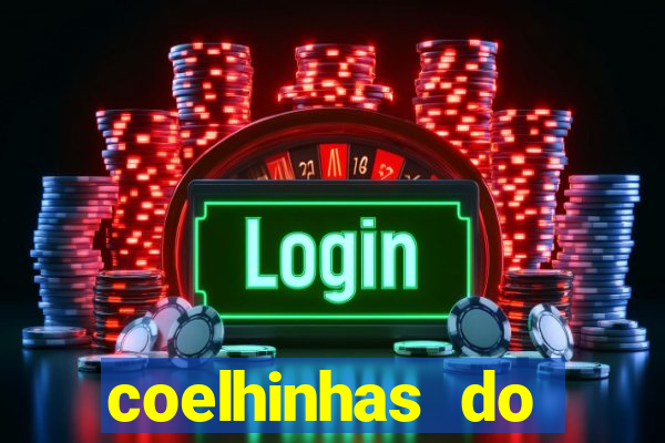 coelhinhas do brasil recife